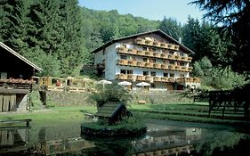 Wolffhotel